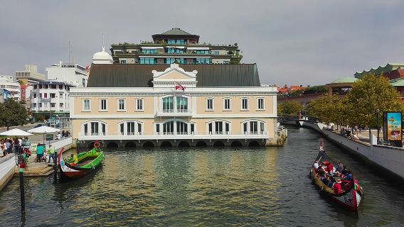 Aveiro, Costa Nova beach and Moliceiro Boat, half-day from Coimbra