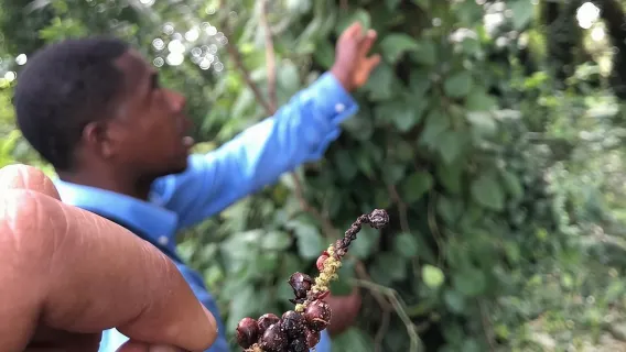 Zanzibar: tour privato delle 5 principali attrazioni con pranzo