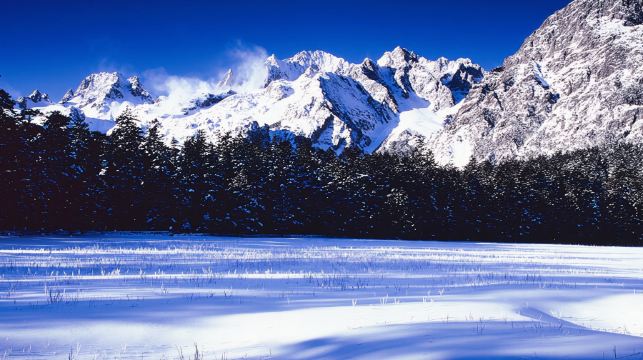 麗江私人導覽一日遊 玉龍雪山 藍月穀 雲杉坪 牦牛坪