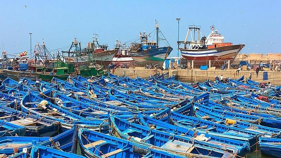 From Marrakech To Essaouira Mogador Full Day Trip | Small-group