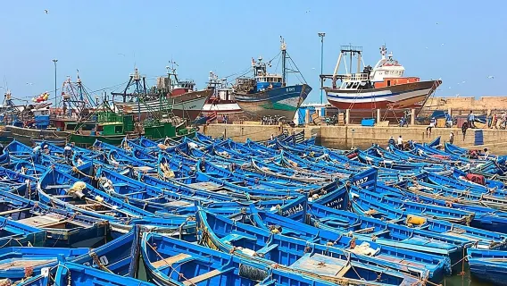 마라케시에서 에사우이라까지 모가도르 종일 여행|소그룹