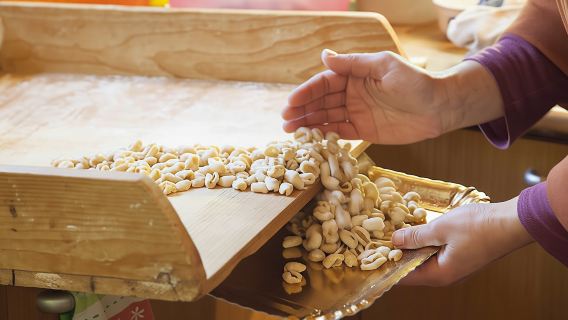 Cooking class and tasting at a Cesarina's home in Bari