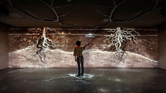 Sensory journey & wine tasting in the heart of Champagne