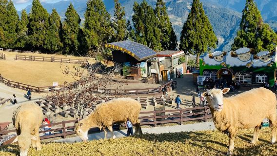 ทัวร์วันเดียว/ทัวร์หลายวัน ฟาร์มชิงจิง + ทะเลสาบสุริยันจันทรา