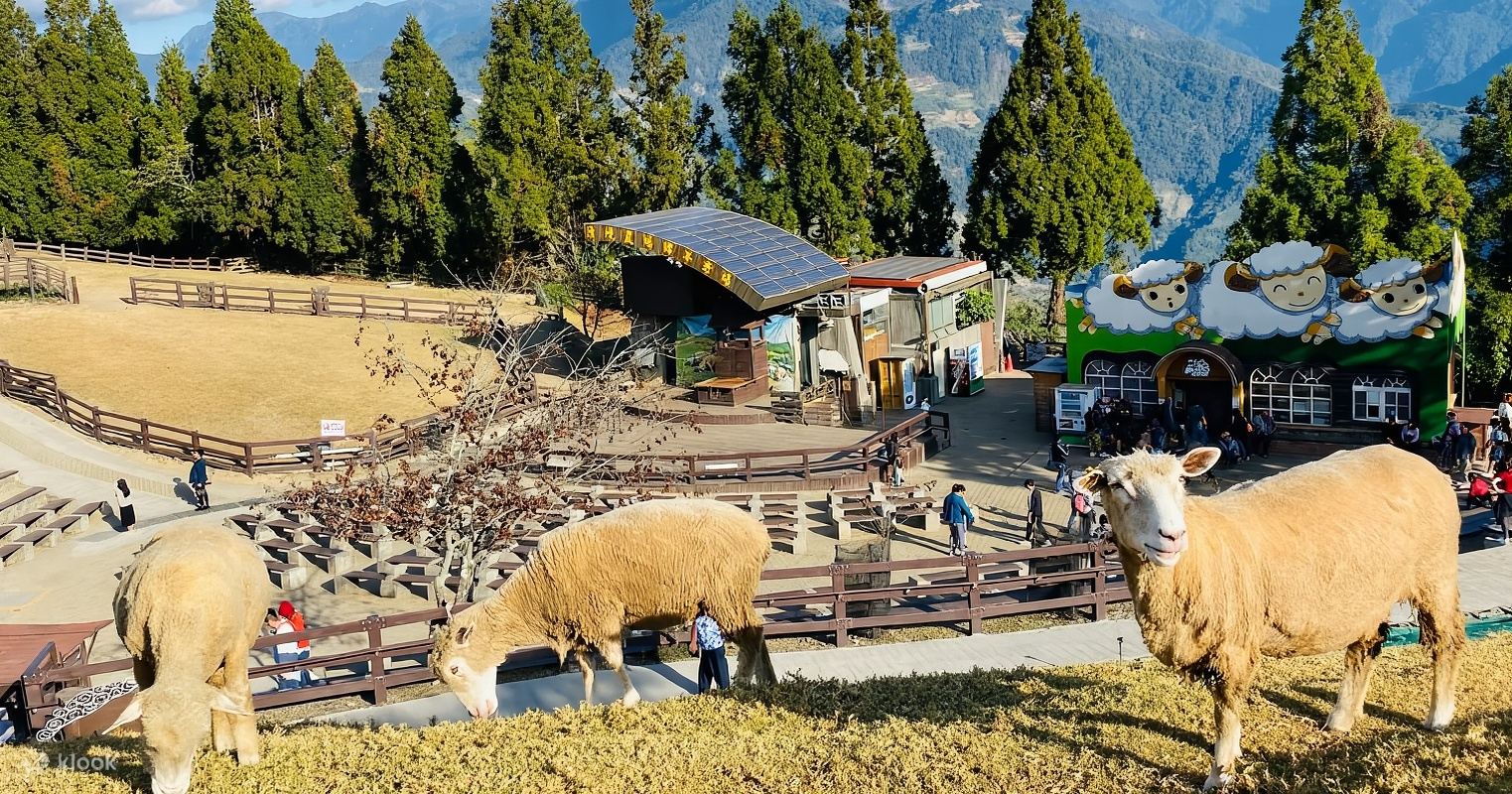 清境農場+日月潭ワンデーツアー