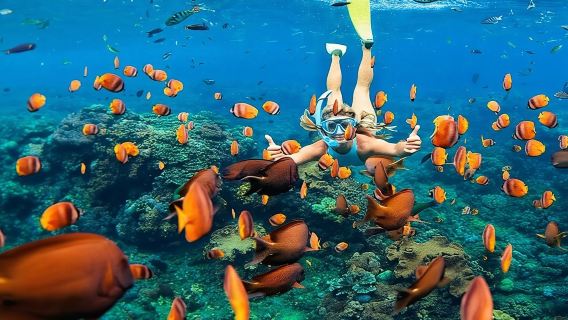 BaliExperiences