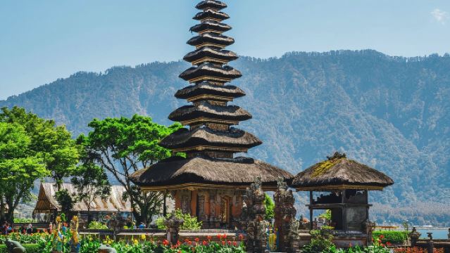 Maravillas del Norte: Avistamiento de delfines y serenidad en las Tierras Altas