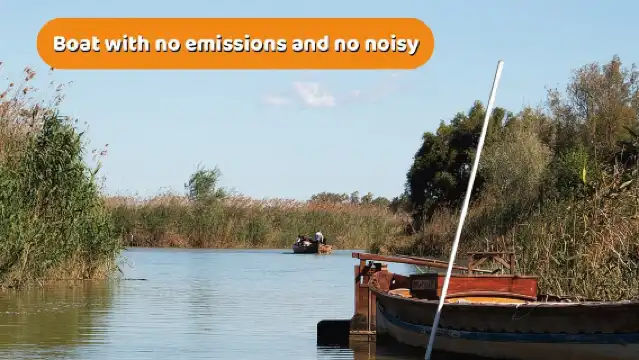 The Original Albufera Tour: Barraca, Boat Ride & Local Guide