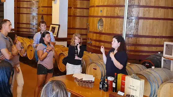 Complete Douro Valley Wine Tour with Lunch, Wine Tastings and River Cruise