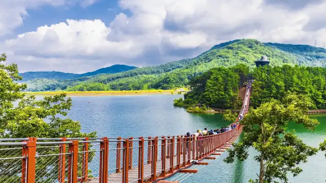 非軍事區之旅：第三隧道，可選路線（懸索橋、乘船）從首爾出發