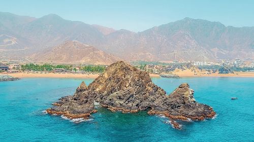 Snorkeling with turtles in Fujairah with BBQ lunch 9