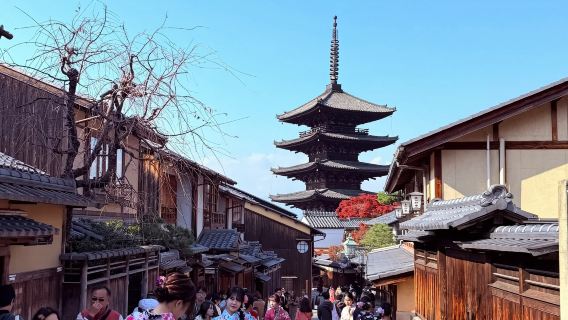 Tour di un giorno a Kyoto: Tempio Kiyomizu-dera + Santuario di Yasaka + Parco di Nara con i teneri cervi + Santuario di Fushimi Inari-taisha
