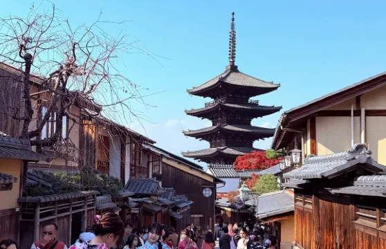 日本京都古寺廟+八阪神社+可愛鹿群奈良公園+伏見稻荷大社一日遊