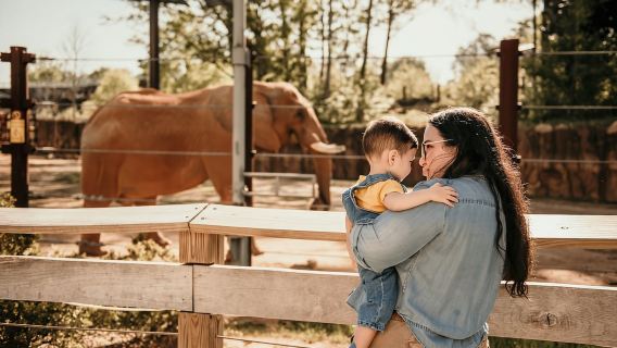Агра: тур в Тадж-Махал, Агра-форт и Центр спасения слонов