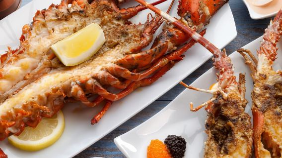GROTTA DI SALAAM: Nuota con le tartarughe e cena al The Rock Restaurant