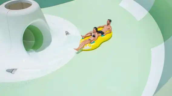 Costa Adeje: Aqualand Water Park Ticket with Dolphin Show