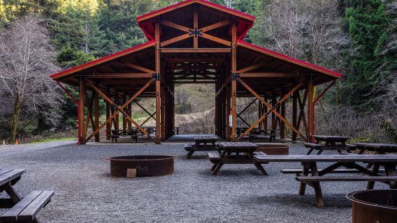 From Fort Bragg: Redwoods Train Ride and Nightclub Ticket