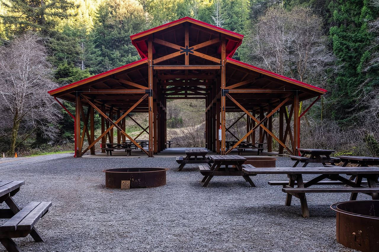 From Fort Bragg: Redwoods Train Ride and Nightclub Ticket