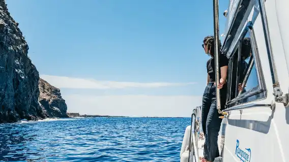 Las Galletas: Whale & Dolphin Tour with Local Skipper