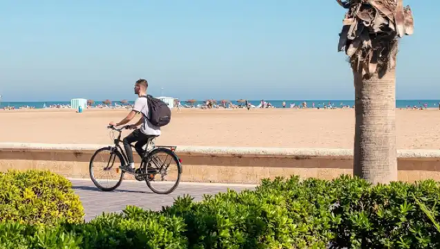 Valencia: Private City Tour on Bike with Drink Stop