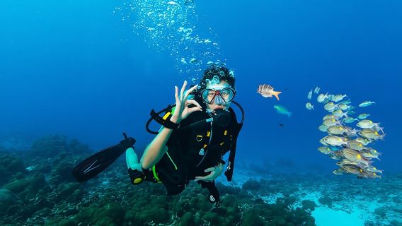 Diving package from RIU Atoll and RIU Palace Maldivas