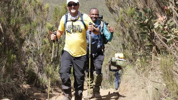 Explora nuestras mejores escaladas de 7 días por la ruta Lemosho del Kilimanjaro