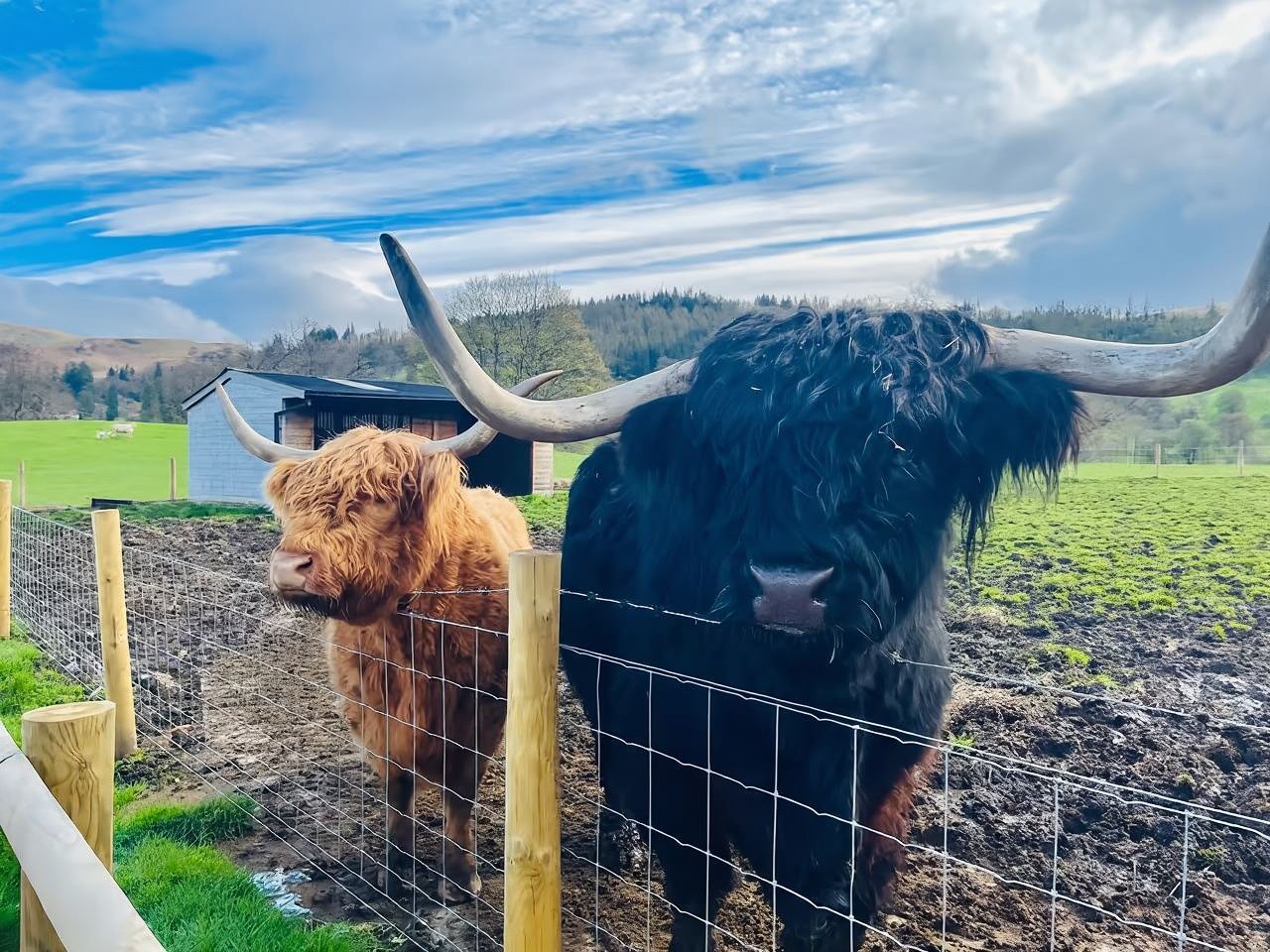 Edinburgh Departure: Glenfinnan Viaduct + Glencoe + Highlands Day Tour from the UK