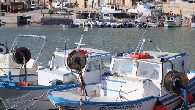 Pesca a Selinunte e pranzo con cottura del pescato