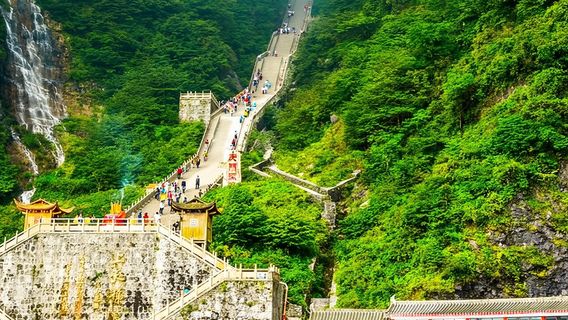 Zhangjiajie Private Guided Day Tour|Tianmen Mountain VIP Express