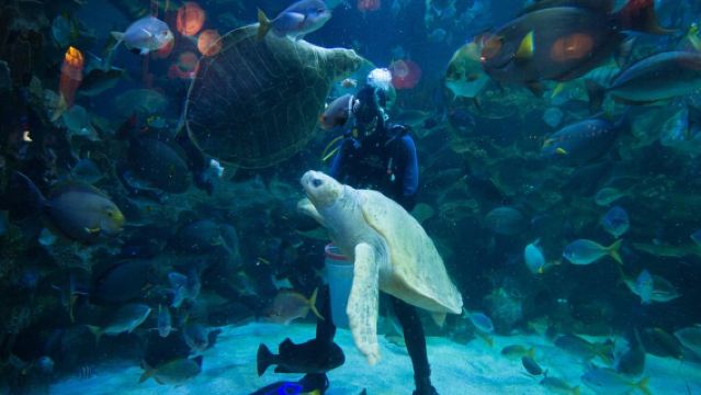 Aquaria KLCC - Ticket