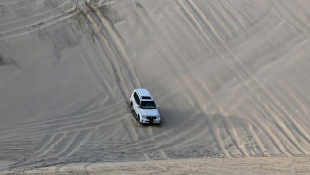 Desert Safari with Falcon Photo Shoot - Half Day Private Tour