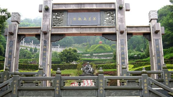 Fujian Private Guided 1-Day Tour Anxi County Qingshuiyan