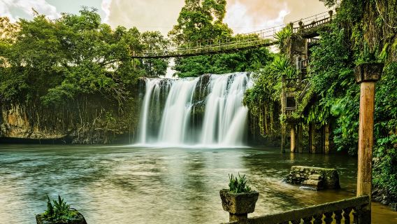 ケアンズ パロネラ・パーク ワンデーツアー【ミラーミラー滝+イチジクの木+ピラミッド】