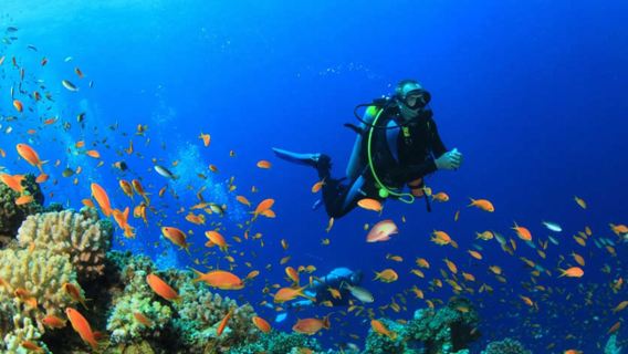 Alami pengalaman selam skuba selam skuba di Unawatuna, Sri Lanka selama 3 jam