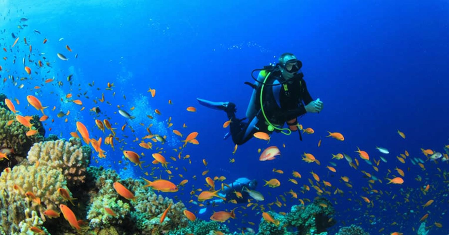 Sri Lanka Unawatuna 3-Hour Scuba Diving Experience [Scuba Diving in Unawatuna]