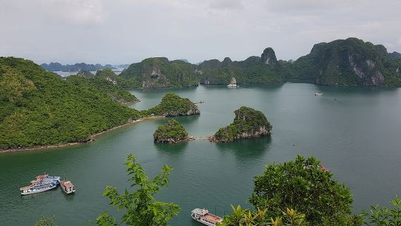 Halong Bay Shore Excursion: Full Day Cruise Tour from Cruise Port