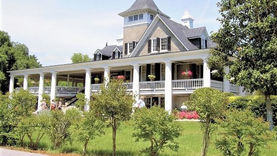 Magnolia Plantation Admission & Tour with Transportation from Charleston