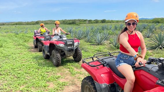 Dschungel- und Strand-ATV-Tour + Mittagessen + Tequila-Verkostung
