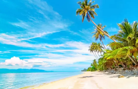 泰國沙美島一日遊【中文導遊|海上項目|可接芭堤雅&沙美島】