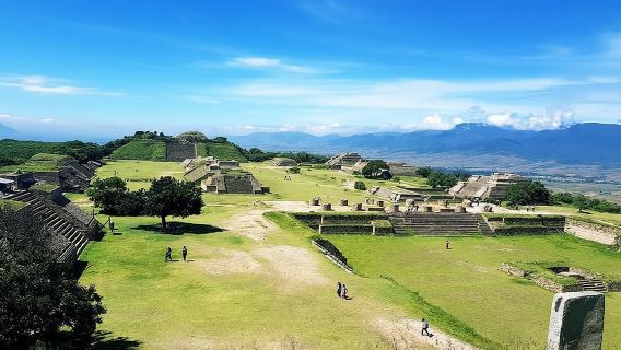 Oaxaca Conmigo Private Tours