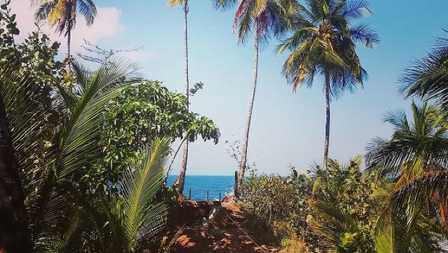 Escursione nel Rifugio Gandoca-Manzanillo