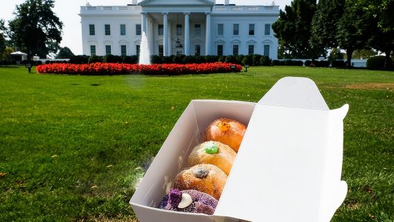 Delicious Donuts of Downtown DC: A Sweet City Experience