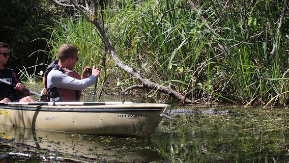 Everglades National Park mangrove tunnel kayak eco-tour
