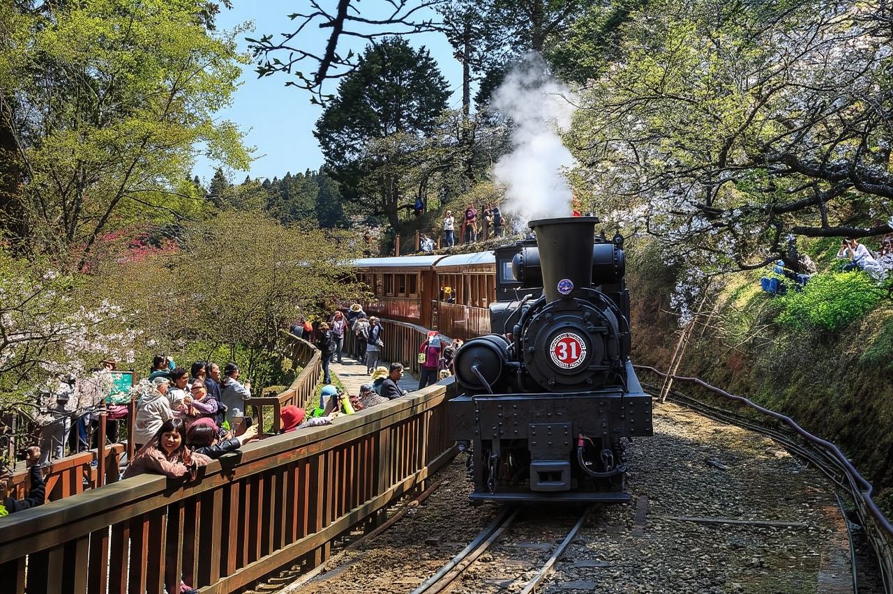 เจียยี่: ทัวร์ 1 วัน อาลีซาน (ออกเดินทางจากไถจง/เจียยี่/เกาสง)