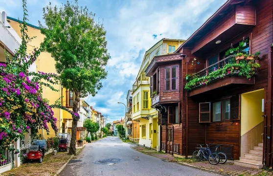 伊斯坦堡出發的公主島之旅(含餐點和交通)