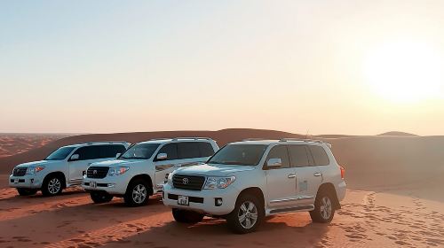 Red Sand Dune Bashing , BBQ Dinner Buffet & Live Shows 3
