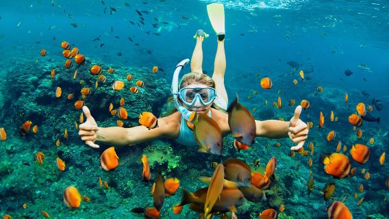 tour 1 ngày Quần đảo Similan Phuket Thái Lan [Có thể đặt lặn sâu|Khởi hành muộn|Quãng đường di chuyển ngắn|Tour nhóm nhỏ