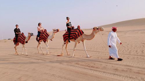 DEAL: Sheikh Zayed Grand Mosque and Dubai Red Dunes with BBQ Dinner Day Tours 4