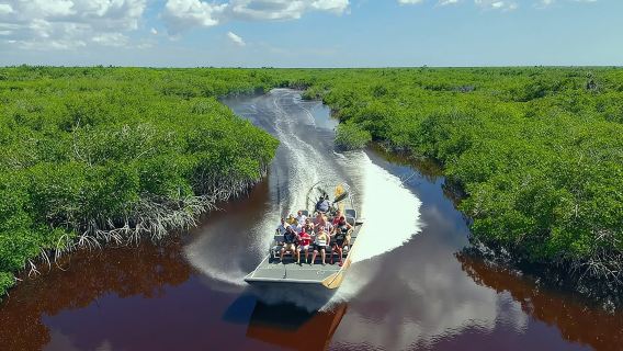 Experiencia en hidrodeslizador por los Everglades: Vida silvestre y humedales