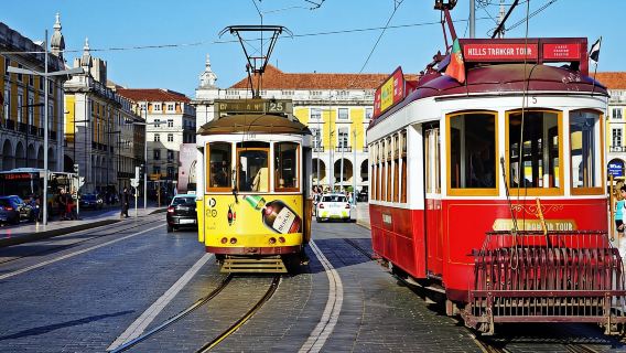Lisbon: Customizable & Private Évora Day Trip with a Local